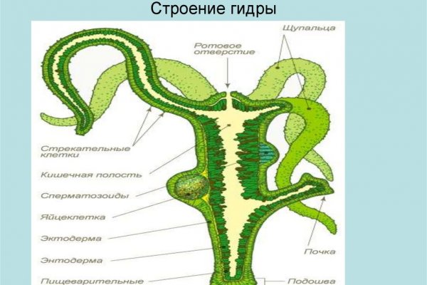 Магазин kraken даркнет