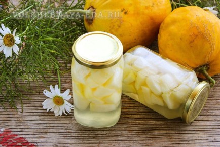 ����, ����������� � �����: ��������� ������ ���������� ����� �� ����