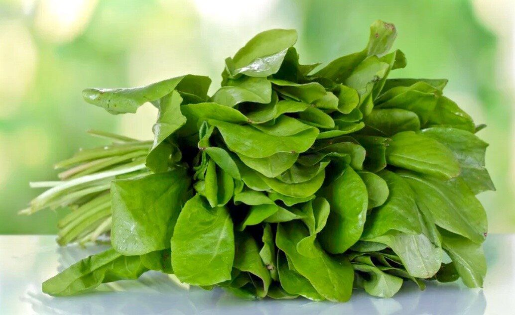 Вкусные рецепты из щавеля: от супа до десерта