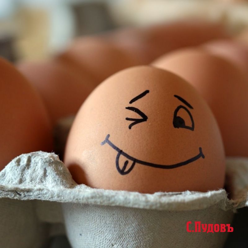 Яйца в рационе: каков безопасный лимит?