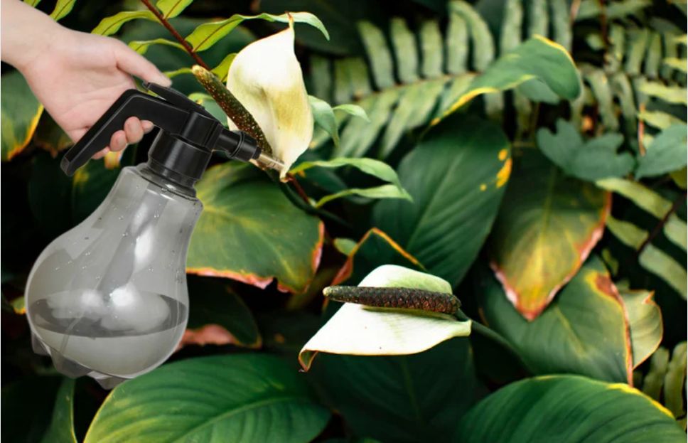 ��� ������� ���� ����� ������ ���� ��������� �������� ���� �����