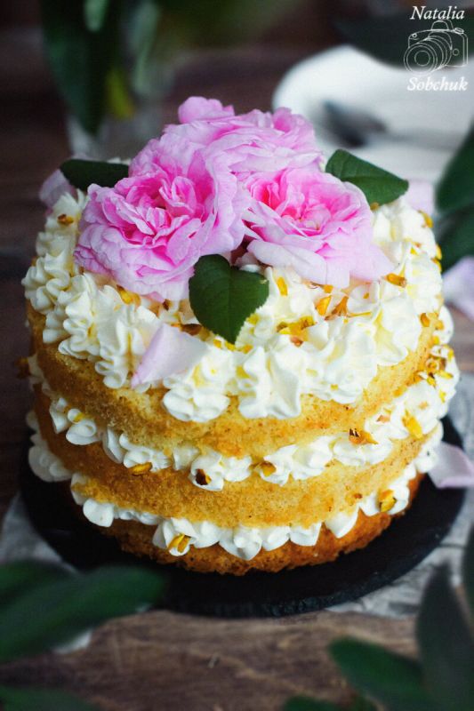 ���� "��������": ��� ������� ���������� ������������ � ��������� ��������� � ������ ���