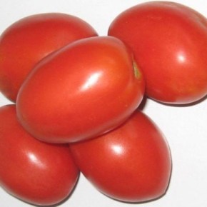 ������ ������: ��� ���� �������-�������� ��������� �����������