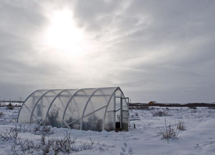 ����������� ������� �������� ������� � ������ ������