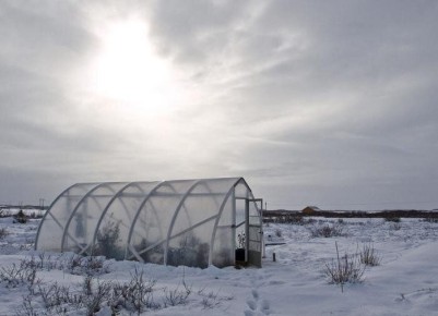 Эффективные способы обогрева теплицы в зимние морозы