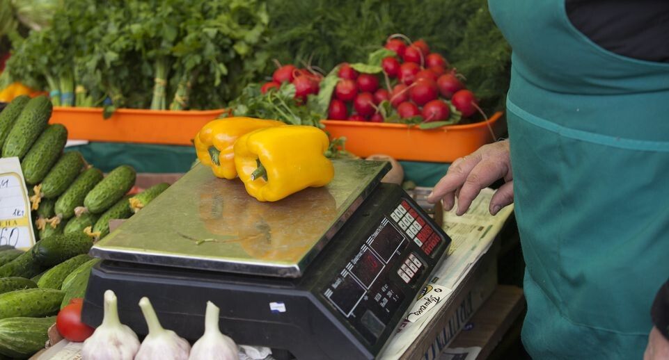 �������� �����: ��� ���� ����� ������ �� ��� �������� ��������