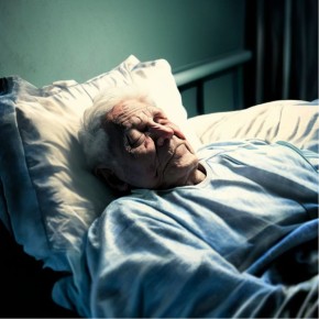 ����������� ������������: ����� � �������� �������� ��������� ���