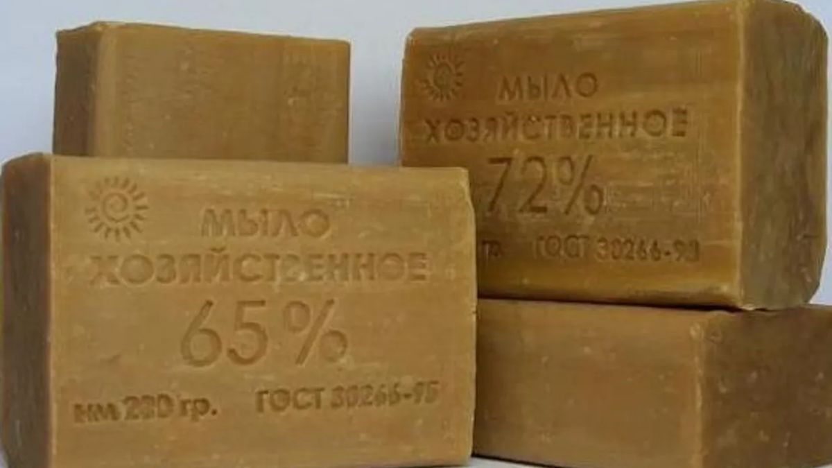 ������� �����: ������������� ���� - ������� ��� ������?