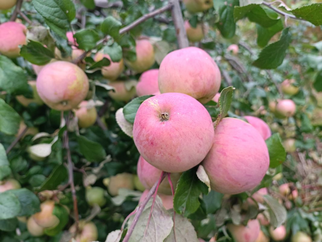 �������� �������: ������� ������������� �� ��������