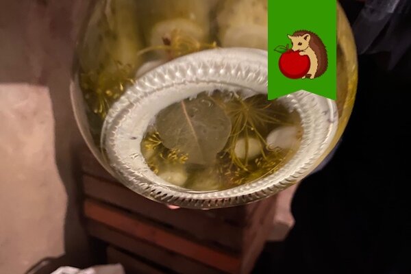 Почему белый осадок на огурцах не всегда повод для паники?