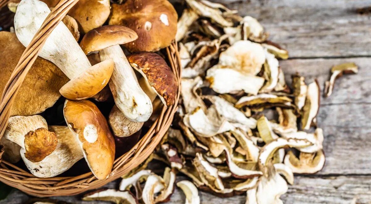 ������� ������������� ������� ������ �� ����� �����