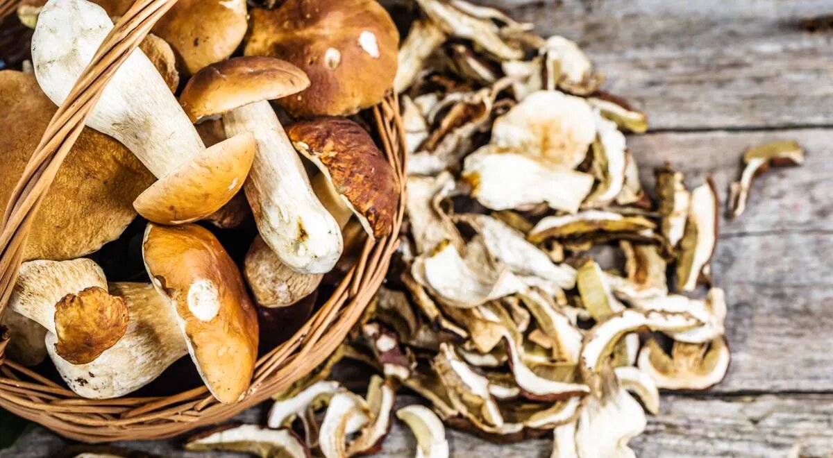Секреты использования сушеных грибов на вашей кухне