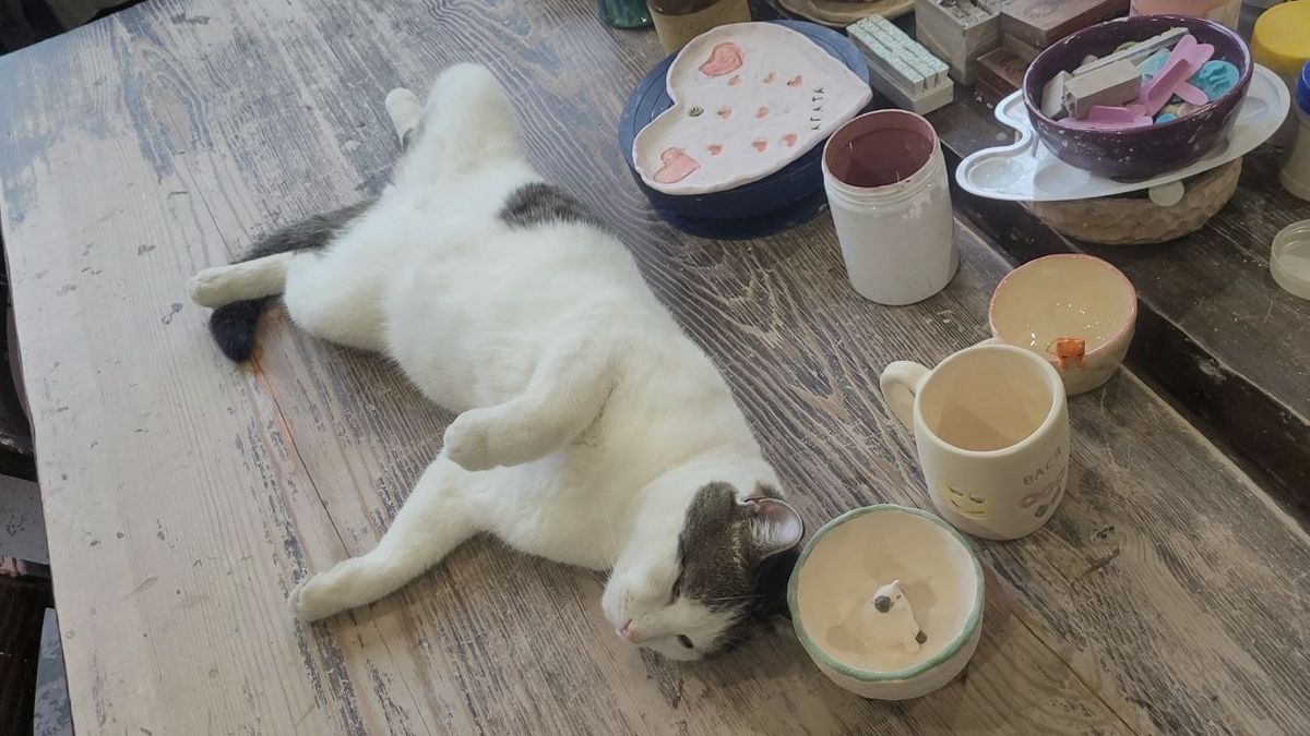 ��� �������: ���� ��������� ���������� � ������� �� ������