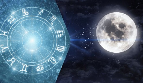 ������ �������� ���������: ����� ����� ������� ���������� � �����������?