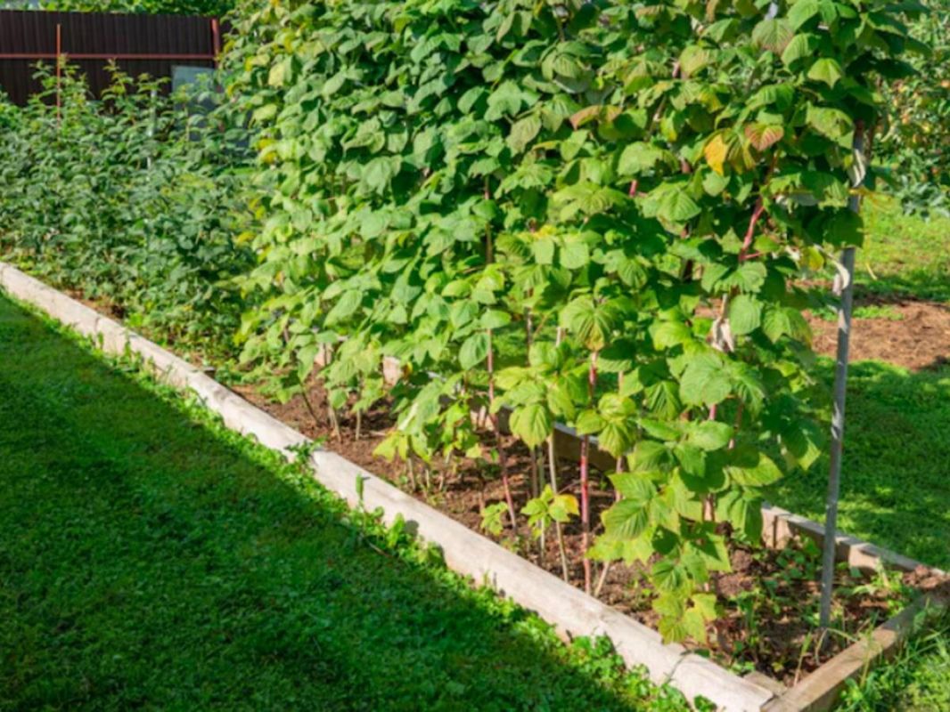 ���������� ��� ���������: ����� ������ � ������� ��������