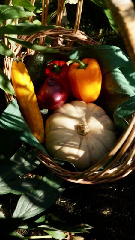 ������� �������� � �������� �������