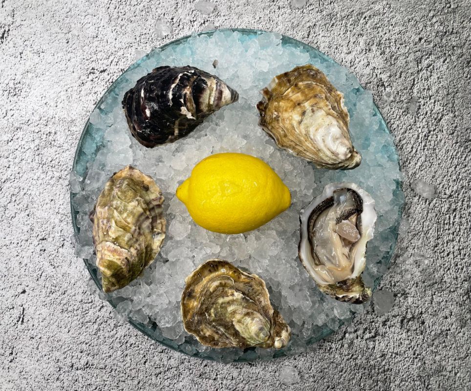 �������: ������ � ���� �� ������������