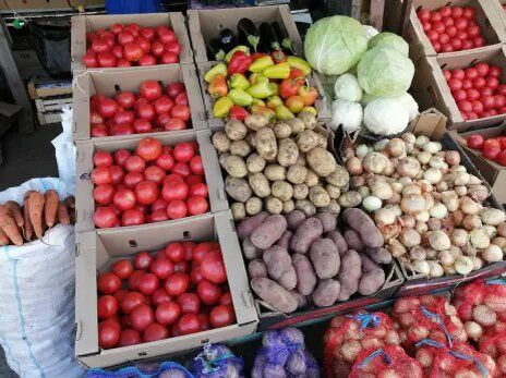 ��� ������� ������ �� �������� �����: �������� �������� ��� ������ � ��������