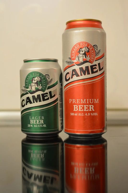 �������� � ���� ����: ����� ������ �� Camel