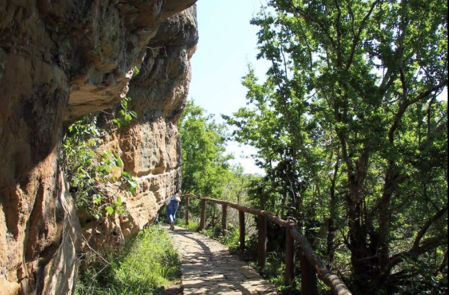 Уникальный заповедник Сатаплия: природа и динозавры под одной крышей