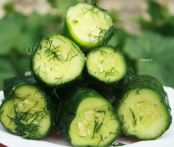 Малосольные огурцы за полтора часа: просто и быстро!