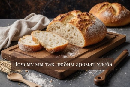 ����� ������ �������: ��� �� �������� ���������� � ��������