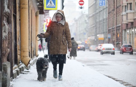 �������� "����" ���������� ������������ � �������� ����� ���������� �������