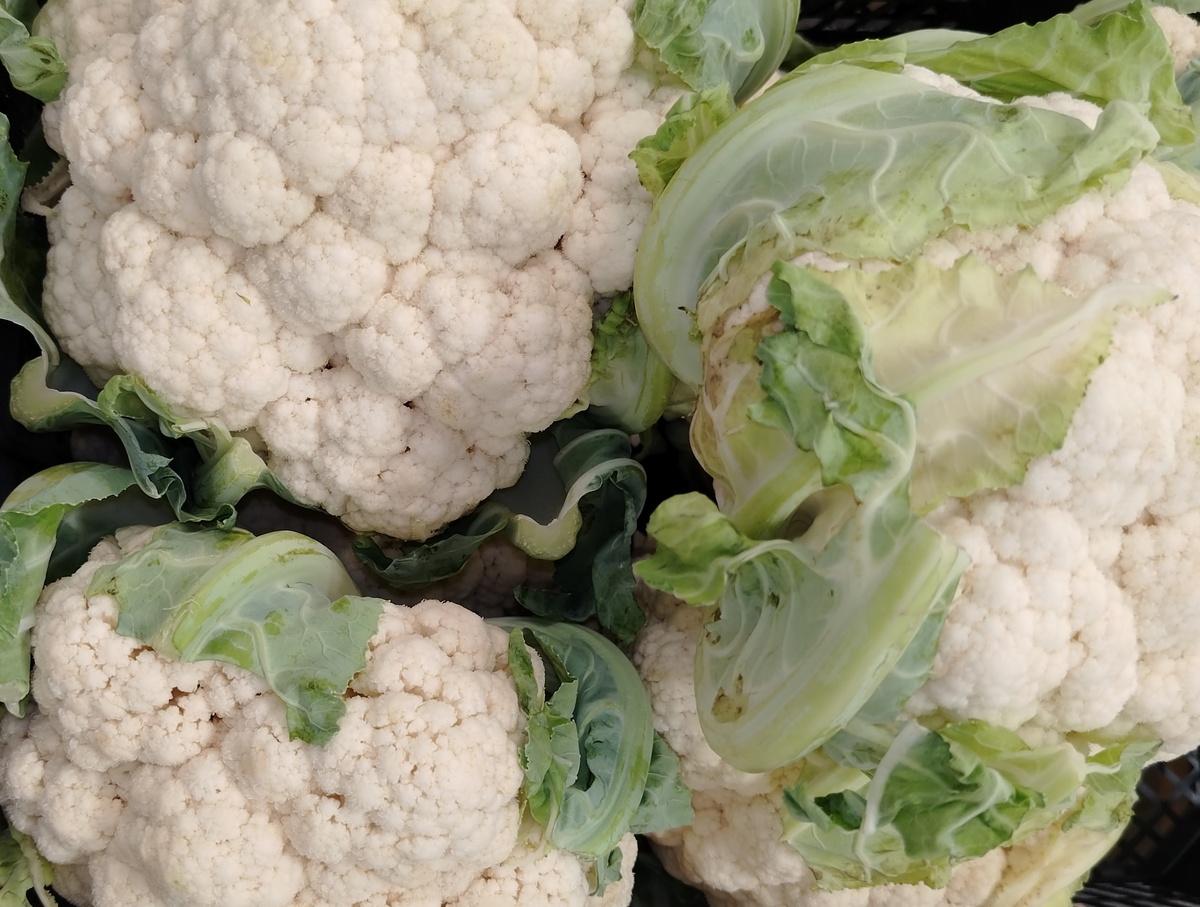 На волне роста: перспективные продукты питания в России