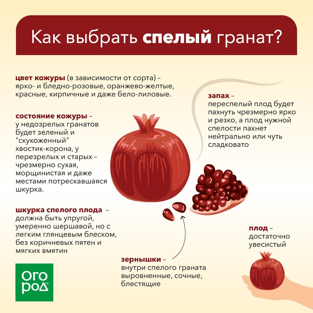 Гранат: Вкусный путь к здоровью и красоте