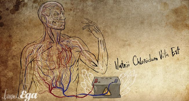 ������ ���� ���������� ��� ���������: ������ ����� � ������ � �����