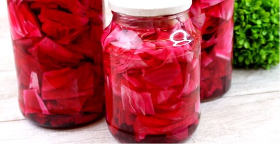 ������������ ������� "��������": ������, ������ � ���������� ������