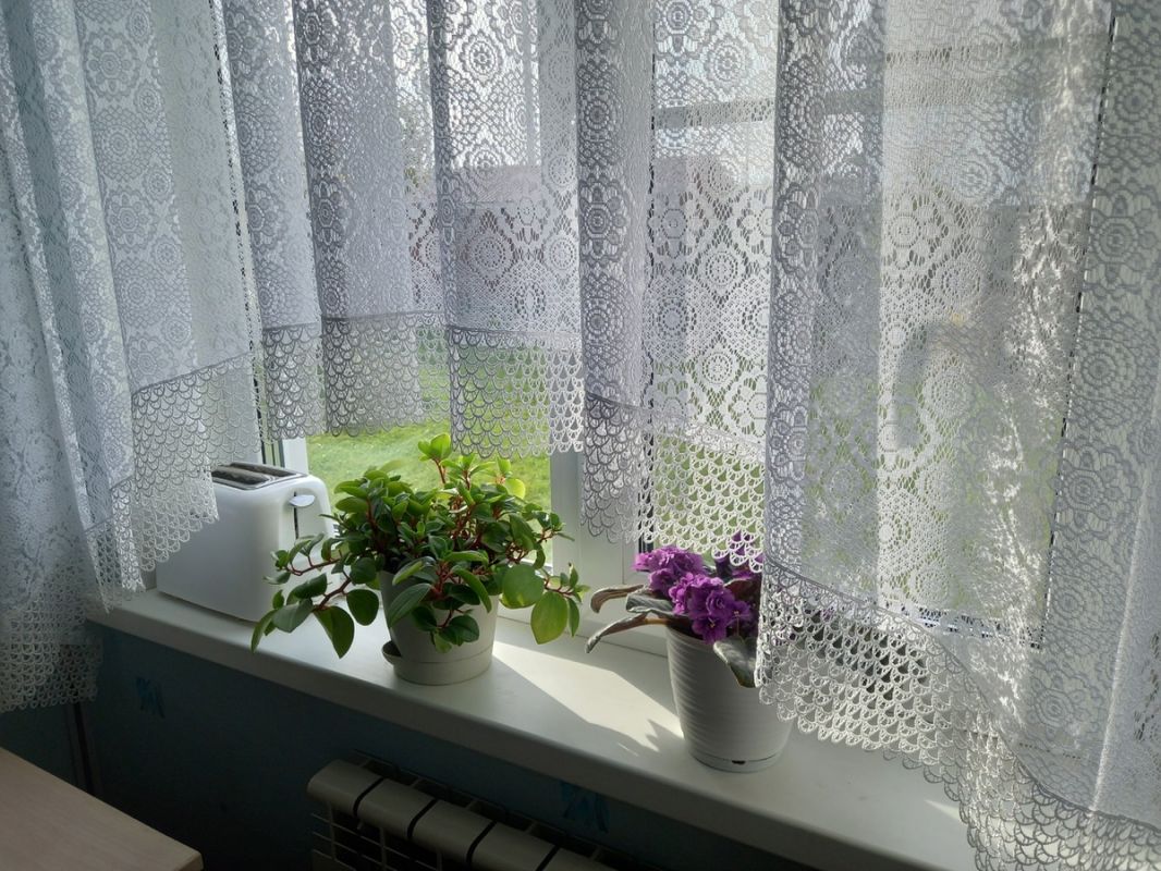 ��� �������� �� ����������� ��������� � ����� �������