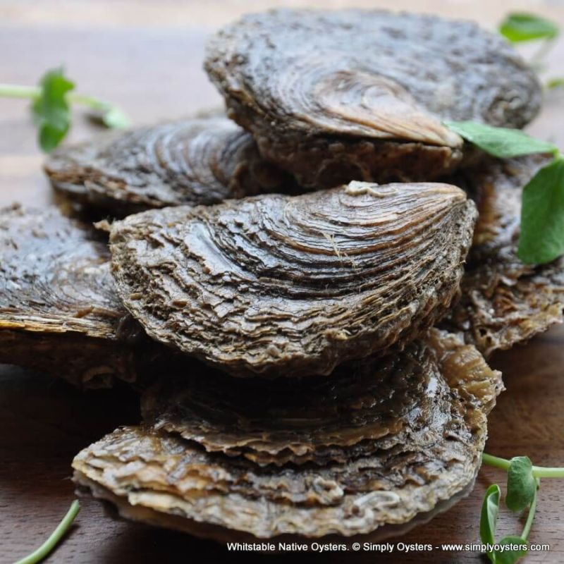 ������� � ��������: �� ��������� �� ��������� ����������