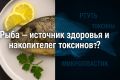 Рыба: благо для здоровья или опасность от токсинов?