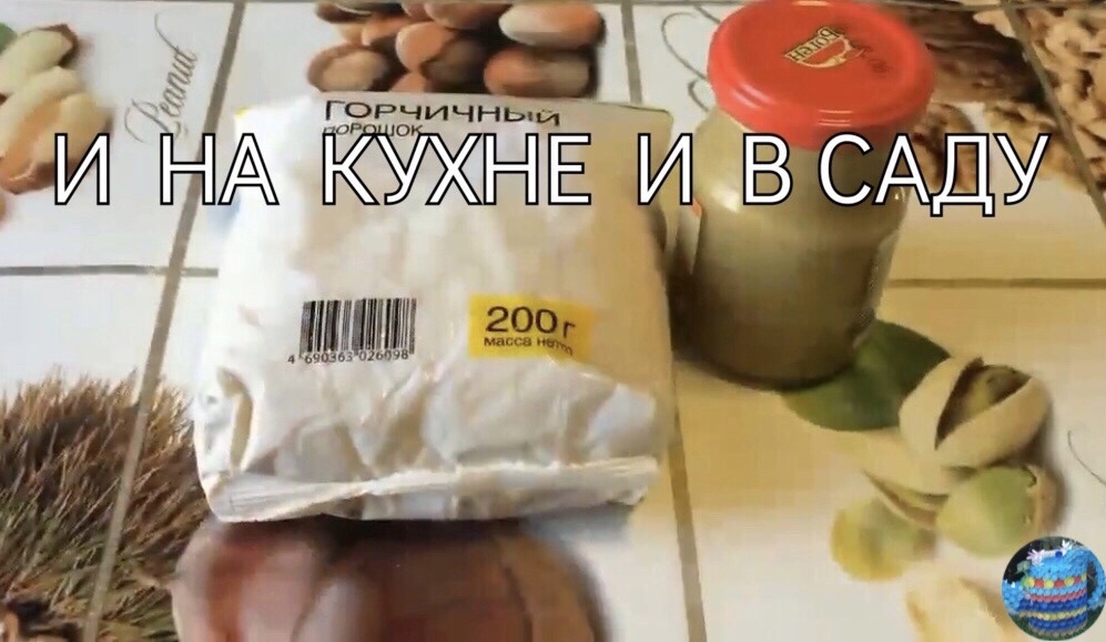 Как приготовить вкусную горчицу в домашних условиях