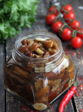 ��� ������ ������������ �����: ������� ������