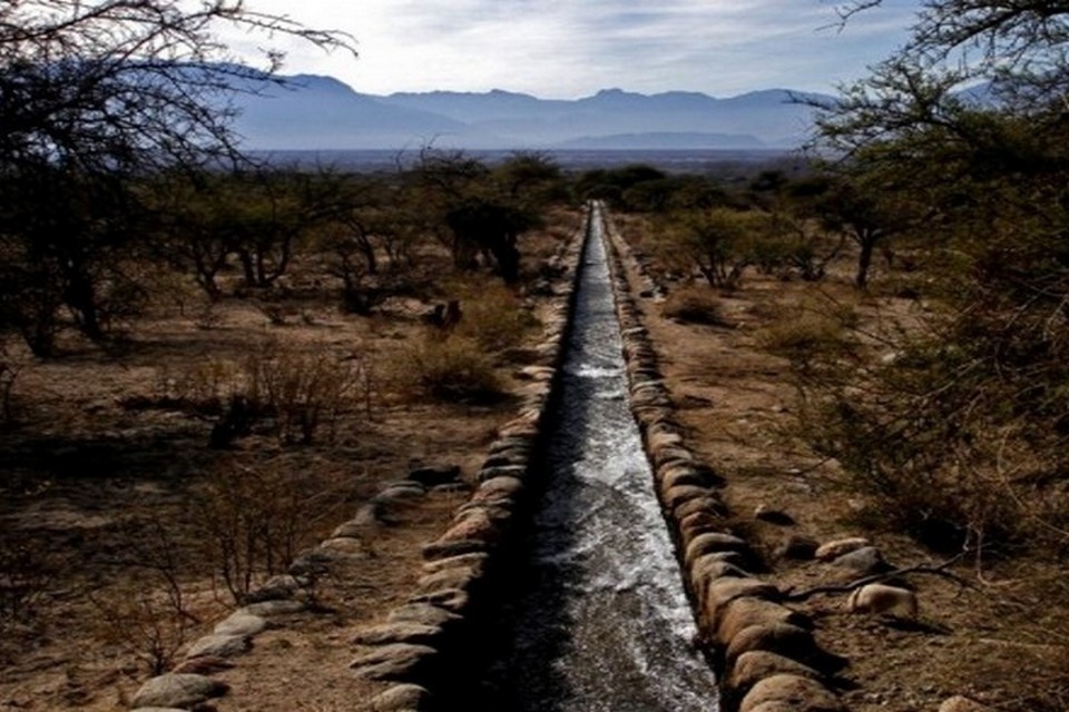 Скрытая сила: как древние каналы обеспечивают аргентинское виноделие