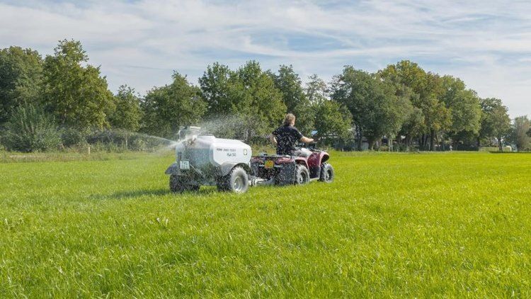 ���� �� ������ ���������� ���: ����������� ������� ������� ���������