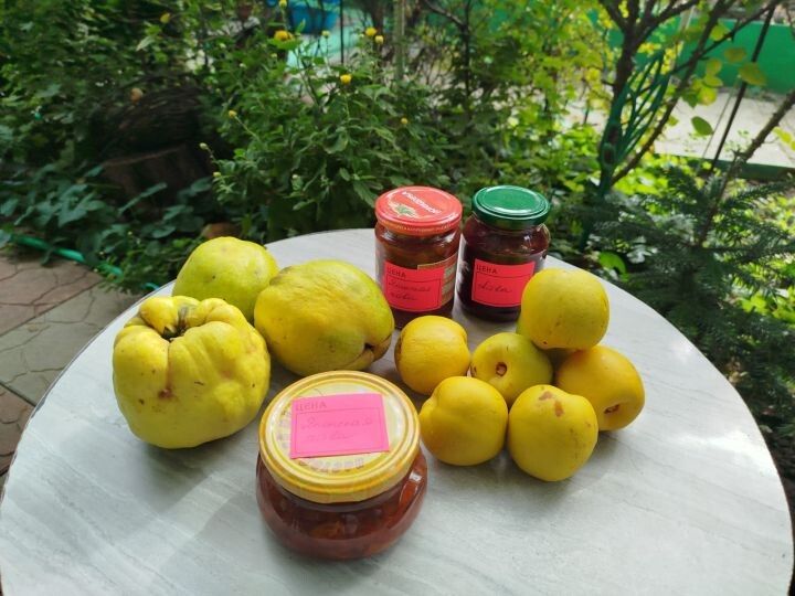 ����: ������� ������������� � ����������� ���������������� �����������