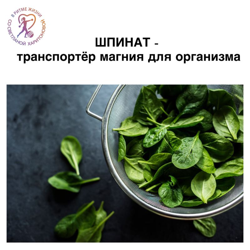 ������: ���� � �������� ������ � ��������