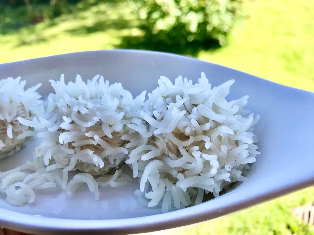 ��� ��������� ����� ����� �������� ������ ����� �����