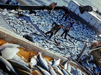 ��������� �����: �������������� ������� ���������� ������ ����������� � 2026 ����