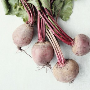 ��� ��������� ���� ����� ��� �����: ��������� ���������� �� ������� ���������