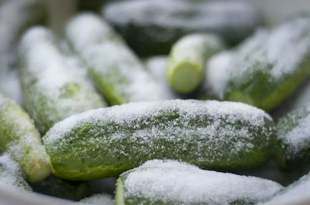 Корнишоны по-французски: Как удивить своими вкусовыми предпочтениями