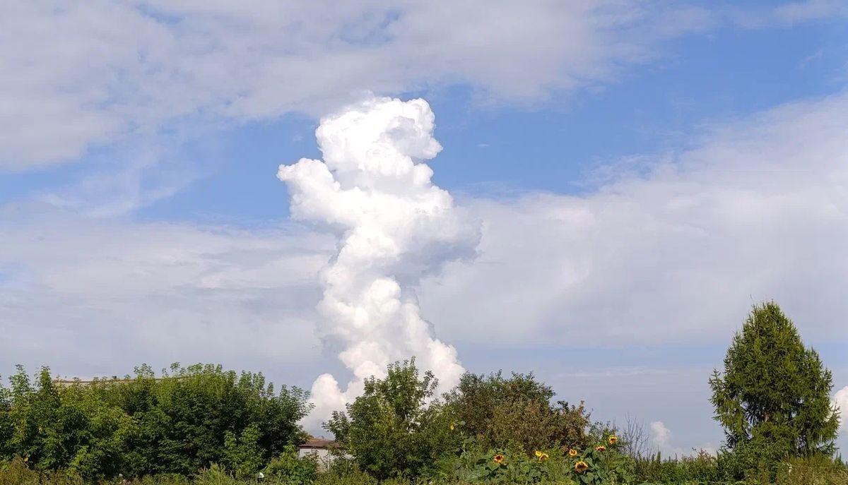 ��� ������� ������ �������� � ��������� ������: ������ � ����������