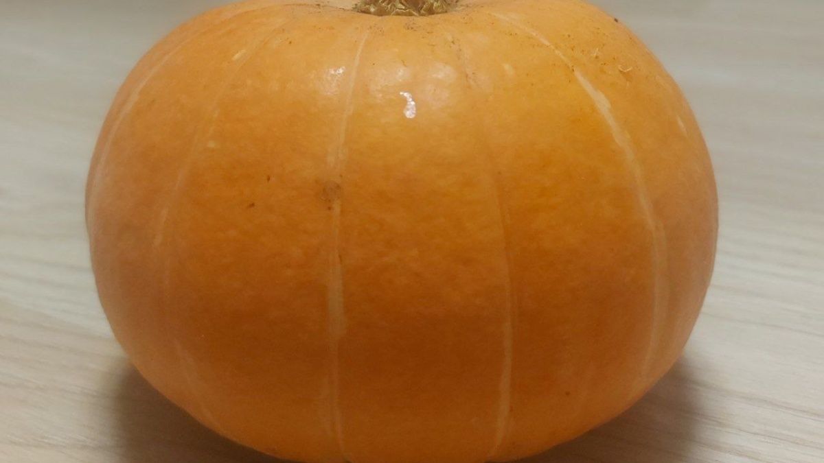 �������� � ������: ������������ �������� ��� ��������