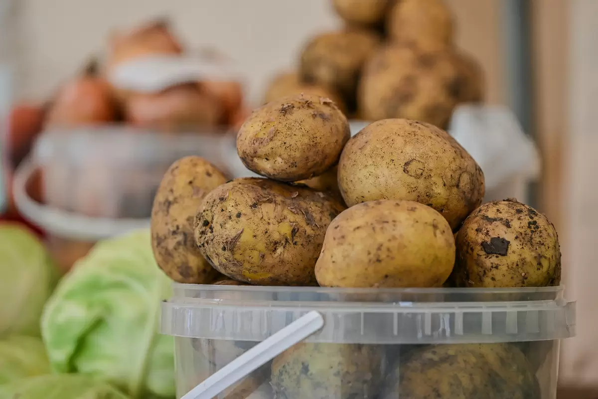 Неповторимые сорта картофеля: от традиционного до экзотического