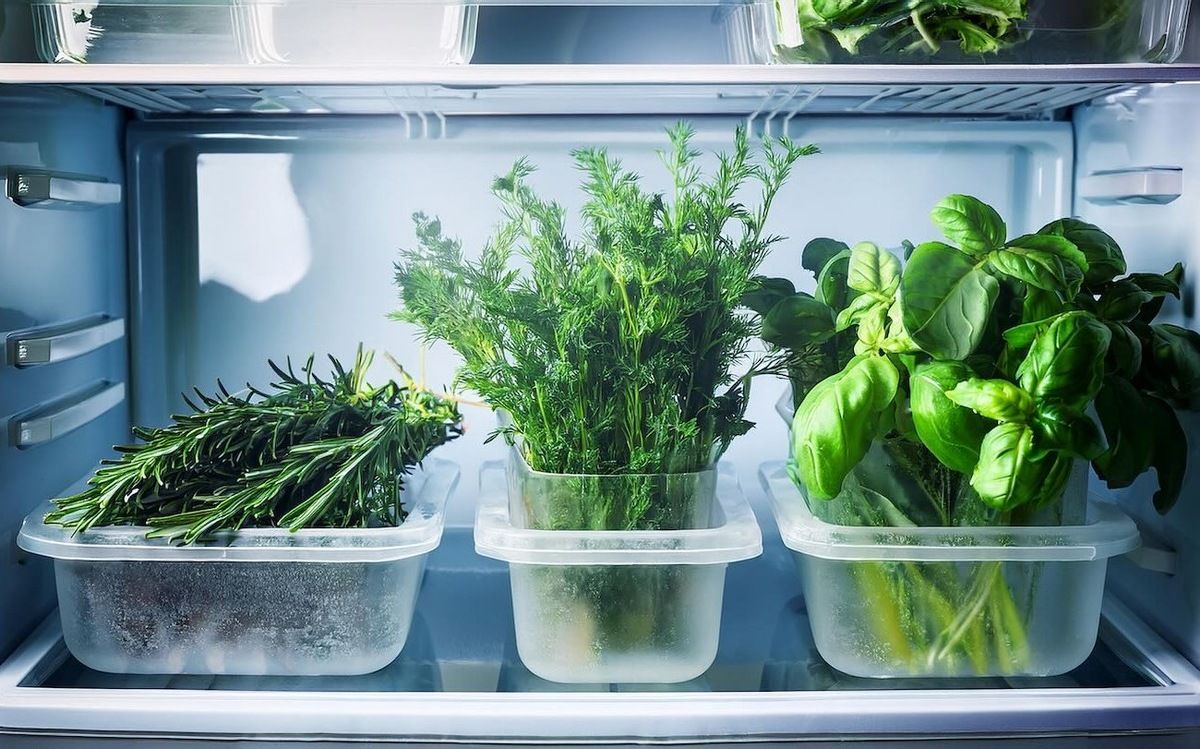 ����� ������� �������� ������: �������� �������� �� ������