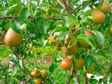 ����� � ����: ��� �������� ����� �� �������� � ��������� ������