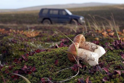 ������� ������ � ������ ������: ���������� �� ������